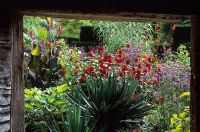 The exotic garden at Great Dixter. Planting includes Yucca gloriosa, Dahlia 'Grenadier', Arundo donax, Ailanthus altissima, Canna indica 'Purpurea' and Verbena bonariensis