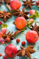 Star anise with decorative apples and Hypericum fruits