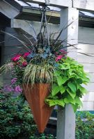 Contemporary terracotta hanging basket planted with Ophiopogon planiscarpus 'Nigrescens', Impatiens, Scaevola, Carex oshimensis 'Evergold', Ipomoea and Heuchera - Seattle Arboretum USA