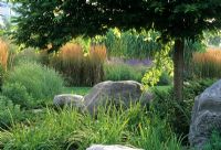 Rocks and boulders in border beneath tree with Calamagrostis acutiflora - The Toronto Music Garden, Canada