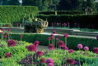 Alliums in box edged borders surrounding water feature -  The Walled Garden, Houghton Hall, Norfolk  