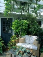 Contemporary rattan sofa with cream cushions on patio shaded by white pergola - Long Island, USA


