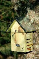 Ladybird shelter for bad weather and hibernation.