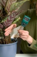 Using a combination meter set to moisture indicator, to test houseplant soil - this meter can also be used to indicate pH and light intensity
