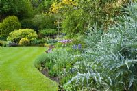 Curving border and lawn with neat, sharp edges at Eastgrove Cottage in spring. Cynara cardunculus - silver cardoon foliage in the foreground