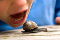 Young boy pretending to eat a snail