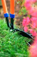 Edging lawn with edging shears - Spring