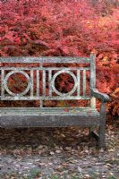 Garden seat or bench in front of Berberis