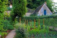 Vegetable garden enclosed by living willow fence - France 