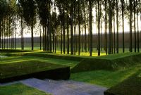 Modern garden with grass covered land form and Populus - Poplars
