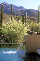 Modern garden with water feature and pond, Cacti and mountains in background. Design - Steve Martino, Tucson, Arizona. 
