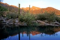 Reflective pond in modern garden with mountains and Cacti in background. Design - Steve Martino, Tucson, Arizona. 