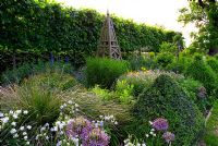 Border of perennials including Allium christophii, double Aquilegias, Buxus topiary, Delphiniums, Geraniums with wooden obelisk and pleached lime hedge