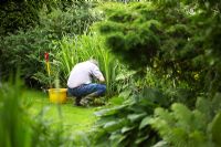 Gardener pulling weeds from a flowerbed by hand