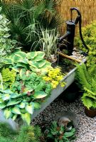 Salvaged farmers trough fitted with cast iron pump, Hostas and marginal planting including Hosta 'June' (front) and Hosta 'Wide Brim' - Yellow leaved Filipendula ulmaria 'Aurea' - Phalaris arundinacea 'Feesey' grows in a pot in the water