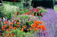 Papaver, Nepeta, Geranium and Lupin in border at Houghton Hall 