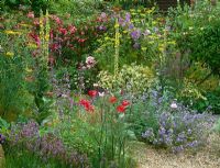 The gravel garden at Ketley's in high summer - Planting includes Malva sylvestris 'Primley Blue', Rosa 'Dorothy Perkins', Clematis 'Perle d'Azure', fennel and verbascums