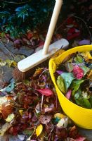 Sweeping up fallen autumn leaves on patio -  Broom and yellow bucket