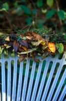Clearing up autumn debris  - Leaves and grass on end of plastic rake