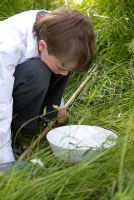 School boy searching for insects using a net in long grass in an orchard with wild flowers then inspecting insects caught in a white bowl
