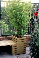 Bamboo in Balcony container seat