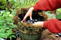 Hanging basket step by step. Step two - Place the basket on a heavy pot, line the sides with a generous layer of moss then add a circle of plastic cut from an old compost bag to reduce water loss. Stab a few holes in the base to allow water to drain away