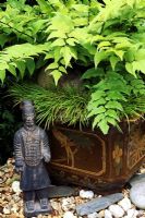 Oriental style group with Cyrtomium falcatum - Japanese Holly Fern and the miniature rush, Acorus 'Hakuro-nishiki' growing in a slip sculpted Chinese pot with a terracotta warrior standing guard