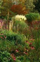 View across sanguisorba, Verbena bonariensis, echinacea to Cortaderia 'Sunningdale Silver', Knoll Gardens, Hampreston, Wimborne, Dorset