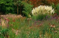 View across sanguisorba, Verbena bonariensis, echinacea to Cortaderia 'Sunningdale Silver', Knoll Gardens, Hampreston, Wimborne, Dorset