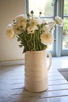 Simple bunch of white Ranunculus in cream jug on marble kitchen surface