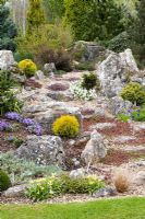 Path over rock garden. Planting includes Primula 'Hall Barn Blue' and Tulipa tarda