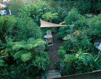 Back garden from upstairs with place to sit under sail canopy and dinghy masts, Dicksonia antarctica, Cyathea dealbata and Robinia pseudoacacia - Hampshire 