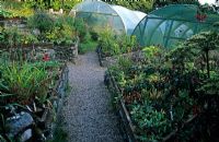 Plant sale area with triangle raised beds containing sown plants - Polytunnels in background - Jura House Walled Garden 