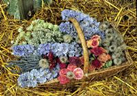 Selection of dried flowers in a wicker basket. Air dried Delphiniums, Lavandula and Ballota, Rosa preserved in silica and sand and Clematis seed heads picked straight from the plant.