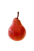 Pyrus communis 'Red williams' - Pear 


