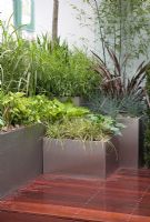 Contemporary metal planters with Carex oshimensis 'Evergold' - The City Workers Retreat Garden, Chelsea 2006