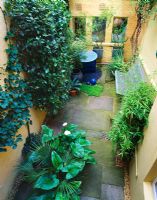 Basement garden designed by Stephen Woodhams with york stone flooring, Zantedeschia, bamboo and buff coloured walls