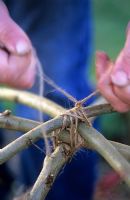 Tying stems together at top of dome