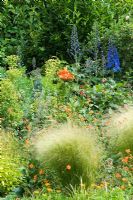 Geum 'Prinses Juliana' growing amongst Stipa tenuissima, Delphinium, Euphorbia characias subsp. wulfenii and Lilium  Backdrop of Salix - part of willow tunnel