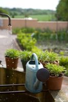 Watering can resting on bars on fountain within newly built french potager garden