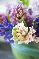 Floral arrangement with Hyacinths - Hyacinthus in glass vase