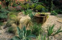 Dry Gravel garden in May, Thursley Lodge in Surrey. Design - Fiona Lawrenson