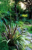 Informal foliage garden with Phormium tenax 'Maori Sunrise' at Roger Rache's garden in Berkeley, Callifornia 