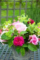 Rose arrangement with Alchemilla mollis in old metal bucket - Rosa 'Madame Isaac Periere' 