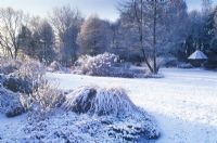 Snowy Scene at Foggy Bottom, Bressingham Gardens, Norfolk.