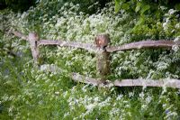 Post and rail fence with Cow Parsley - Anthriscus sylvestris at Brook Cottage Garden - Cotswolds