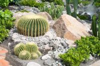 Cacti planting in modern 'rock' garden -'600 Days With Bradstone' garden, Chelsea 2007  