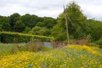 A meadow of flowering annuals with a pirate ship and a whale created from woven willow in the Pirates and Mermaids Garden at The RHS Gardens Harlow Carr
