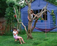 Children playing on the old tree with blue summerhouse behind