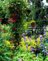 View to table and seats, Clematis and Lonicera on pergola